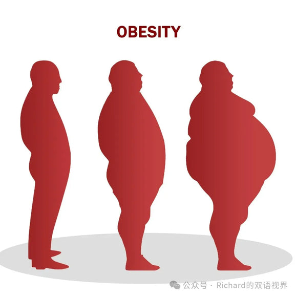 The Global Obesity Crisis