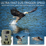 4K Video 48MP Photo Pixel  Outdoor  Hunting camera with Motion Sensor IP66 Waterproof_PR701